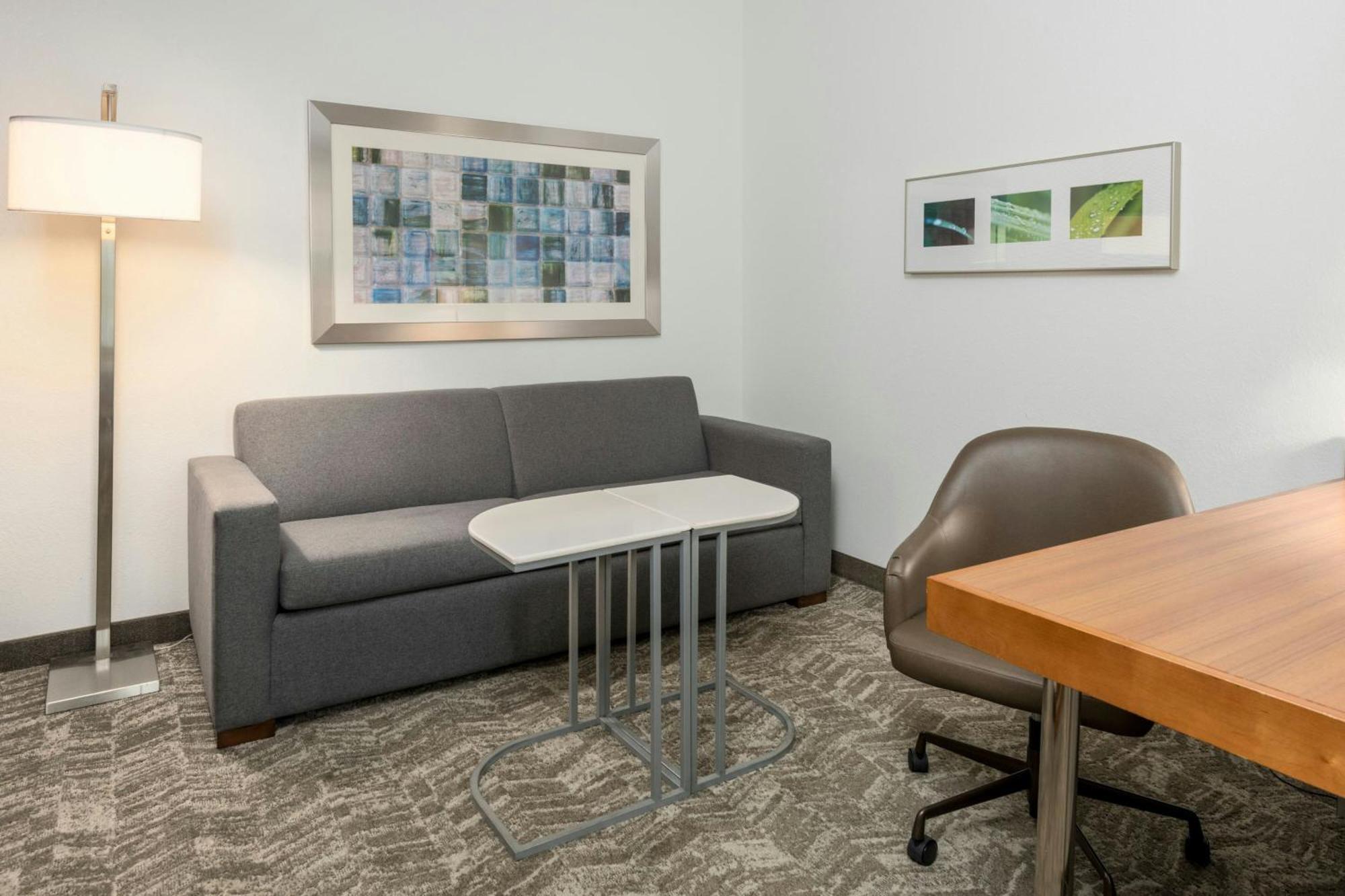 Springhill Suites By Marriott Lafayette South At River Ranch Buitenkant foto